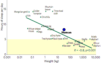 Humans Are Herbivores Chart